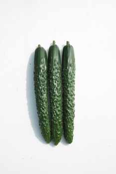 カネコ種苗　キュウリ種子　四川2号【取り寄せ注文】