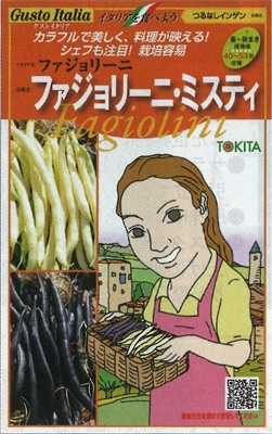 トキタ種苗　つるなしインゲン種子　グストイタリア　ファジョリーニ・ミスティ　100粒（黄・紫色　各50粒）【2025年秋種予約商品】