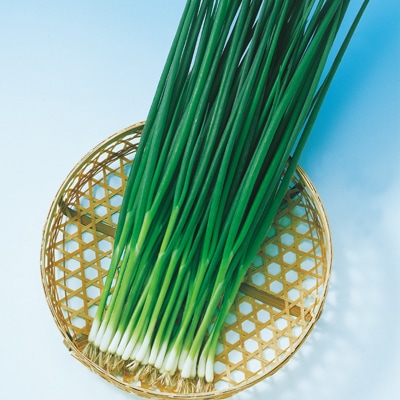 中原採種場　ネギ種子　かみなり葱【取り寄せ注文】