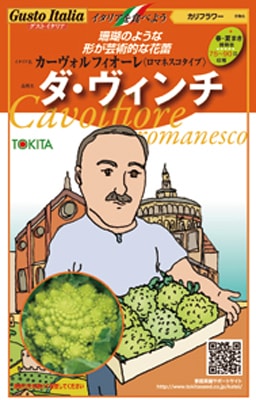 トキタ種苗 カリフラワー種子 グストイタリア ダ・ヴィンチ　【2026年春種予約商品】