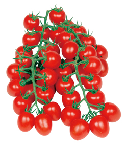 丸種 ミニトマト種子 甘っこ【取り寄せ注文】【2026年春種予約商品】