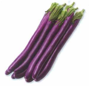 タカヤマシード ナス種子 藤姫長茄子【取り寄せ注文】※発芽率低下の為