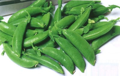 ニムラサラダスナップ スナップエンドウ1L×4袋セット エンドウ種 【 ニムラサラダスナップ 】 1L （栽培用 種子 豌豆