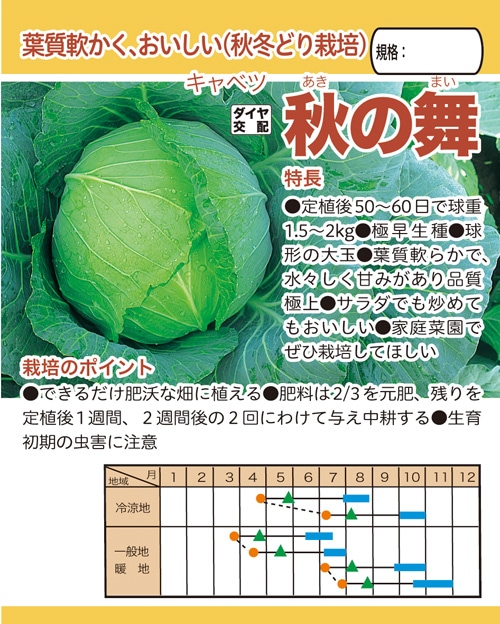 トキタ種苗 キャベツ種子 秋の舞【取り寄せ注文】