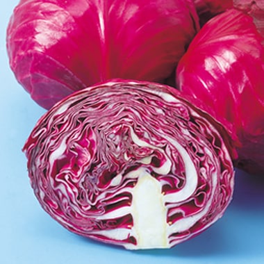 中原採種場　キャベツ種子　レッドボール【取り寄せ注文】