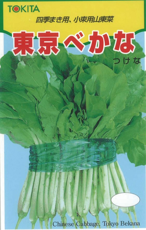 トキタ種苗 ベカナ種子 東京べかな【取り寄せ注文】