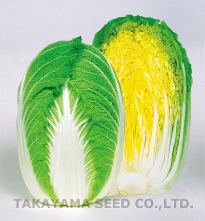 タカヤマシード　ハクサイ種子　CRご黄げん75【取り寄せ注文】
