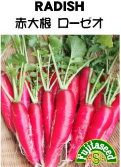 藤田種子 ダイコン種子 赤大根 ローゼオ[R-48]【取り寄せ注文】＊種子有効期限2026年5月末