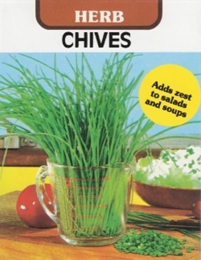 藤田種子　ハーブ種子　チャイブ[H-43]小袋【取り寄せ注文】
