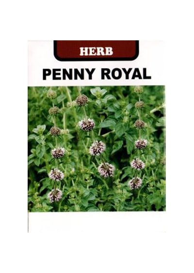 藤田種子 ハーブ種子 ミント ペニーロイヤルミント[H-94]小袋【取り寄せ注文】※春のみの商品【2026年春種予約商品】