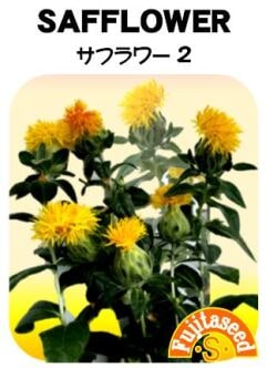 藤田種子　ハーブ種子　サフラワー２[H-　]小袋【取り寄せ注文】