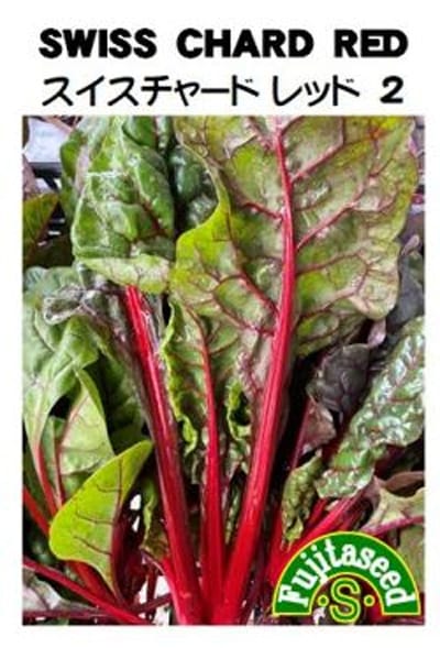 藤田種子 スイスチャード レッド2 フダン草[L-84]　小袋【取り寄せ注文】＊種子有効期限2026年5月末