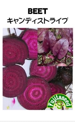 藤田種子 ビーツ種子 キャンディストライプ 小袋(5ml)[R-37]【取り寄せ注文】＊種子有効期限2026年5月末