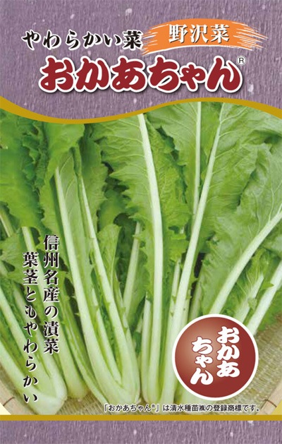 4株セット特別価格北海道産アスパラガス株苗 