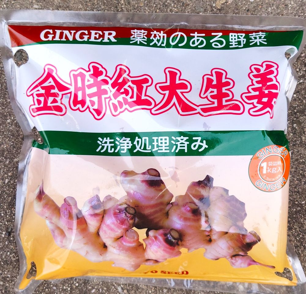 山陽種苗　金時紅生姜　生姜種根 1kg※4月中旬頃～出荷予定