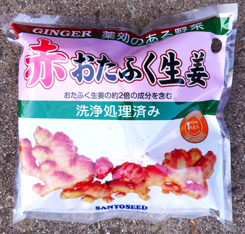 山陽種苗　赤おたふく生姜　生姜種根 1kg※4月中頃～入荷予定