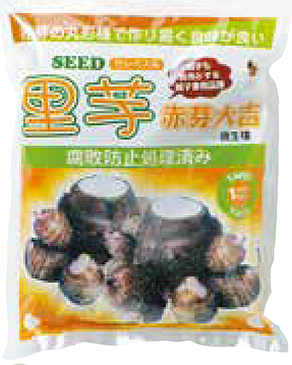 【2026年予約注文用です】山陽種苗　赤芽大吉　里芋種根　※イメージ写真とは異なる場合がございます。※3月下旬頃～出荷予定