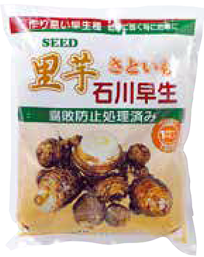 【2026年予約注文用です】山陽種苗　石川早生　里芋種根　※イメージ写真とは異なる場合がございます。※3月下旬頃～出荷予定