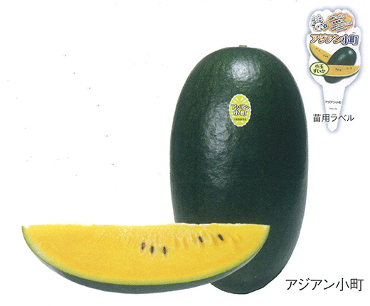 大和農園　小玉スイカ種子　アジアン小町