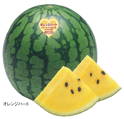 大和農園　中玉スイカ種子　オレンジハート【取り寄せ注文】