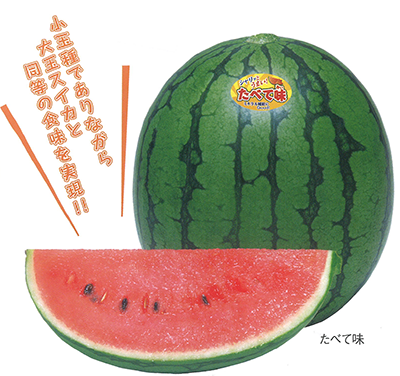 大和農園 小玉スイカ種子 たべて味【取り寄せ注文】※春のみの商品 【2026年春種予約商品】