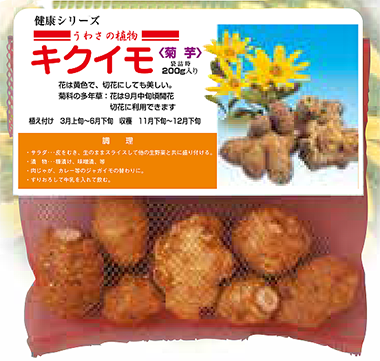 山陽種苗　キクイモ　キクイモ種根【2026春予約商品】※3月以降～出荷予定