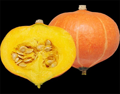 大和農園　カボチャ種子　F1あかまろ【取り寄せ注文】【2026年春種予約商品】