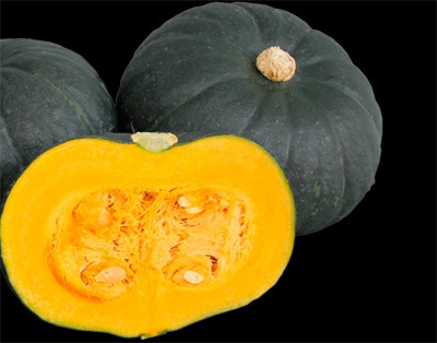 大和農園　カボチャ種子　F1こくまろ【取り寄せ注文】【2026年春種予約商品】