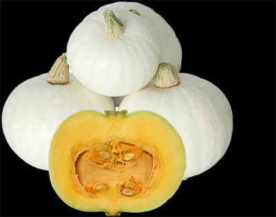 大和農園　カボチャ種子　F1しろまろ【取り寄せ注文】