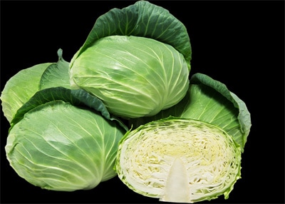 大和農園 キャベツ種子 F1翠青（すいせい）【取り寄せ注文】 | 小林