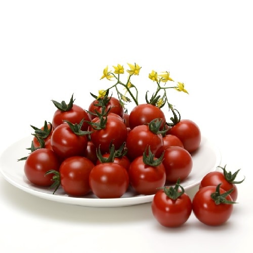 ヴィルモランみかど　ミニトマト種子　小鈴クイーン【取り寄せ注文】