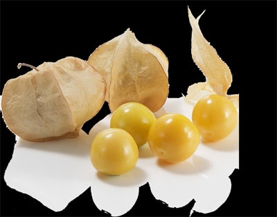 大和農園 食用ほおずき種子 キャンディーランタン[PVP]【取り寄せ注文】＊種子有効期限2026年11月末