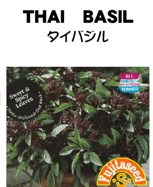 藤田種子 ハーブ種子 タイバジル 小袋【取り寄せ注文】※種子有効期限2025年11月末