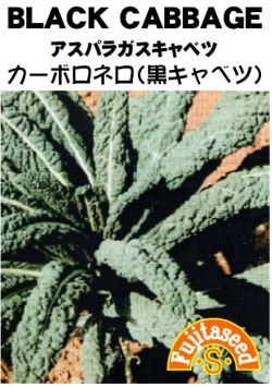 藤田種子 アスパラガスキャベツ（リーフブロッコリー) 葉菜種子 0.5ml小袋[G-6]【取り寄せ注文】【2026年春種予約商品】