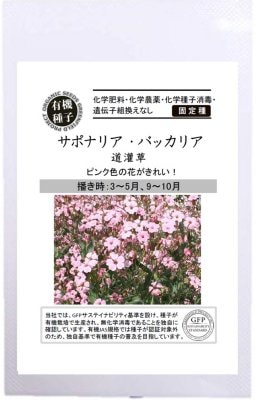 草花種子 小袋 5月まきの花の種 小林種苗株式会社