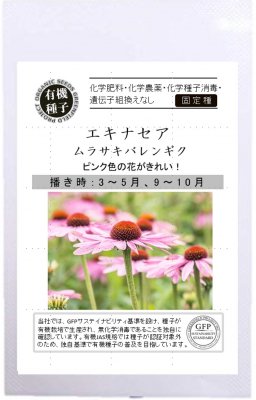 GFP[A551]エキナセア / エキナケア / ムラサキバレンギク (20粒)【有機種子】【2026年春種予約商品】