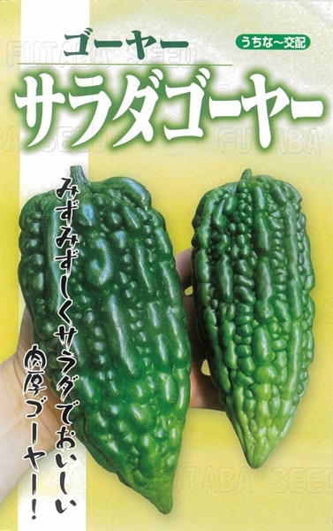 フタバ種苗 ニガウリ種子 サラダゴーヤー[うちなー交配］【取り寄せ注文】【2026年春種予約商品】