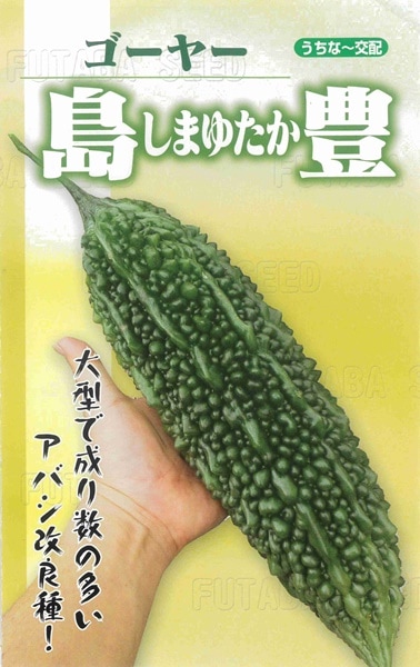 フタバ種苗 ニガウリ種子 島豊[うちなー交配］【取り寄せ注文】【2026年春種予約商品】