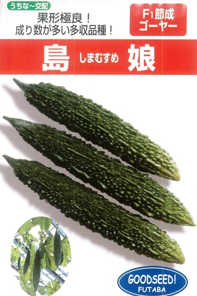 フタバ種苗 ニガウリ種子 節成ゴーヤー島娘[うちなー交配］【取り寄せ注文】