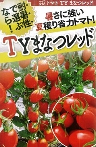フタバ種苗 ミニトマト種子 TYまなつレッド[うちなー交配］【取り寄せ注文】【2026年春種予約商品】