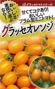 フタバ種苗 ミニトマト種子 グラッセ オレンジ　[うちなー交配］【取り寄せ注文】＊種子有効期限2026年5月末