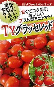フタバ種苗 ミニトマト種子 TYグラッセプラス レッド[うちなー交配］【取り寄せ注文】＊種子有効期限2026年5月末