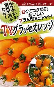 フタバ種苗 ミニトマト種子 TYグラッセプラス オレンジ[うちなー交配］【取り寄せ注文】＊種子有効期限2026年5月末