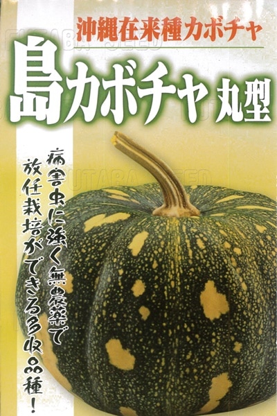 フタバ種苗 島カボチャ(丸型)　[うちなー交配］【取り寄せ注文】【2026年春種予約商品】
