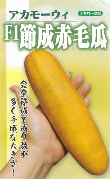 フタバ種苗 F1節成赤毛瓜[うちなー交配］【取り寄せ注文】【2026年春種予約商品】