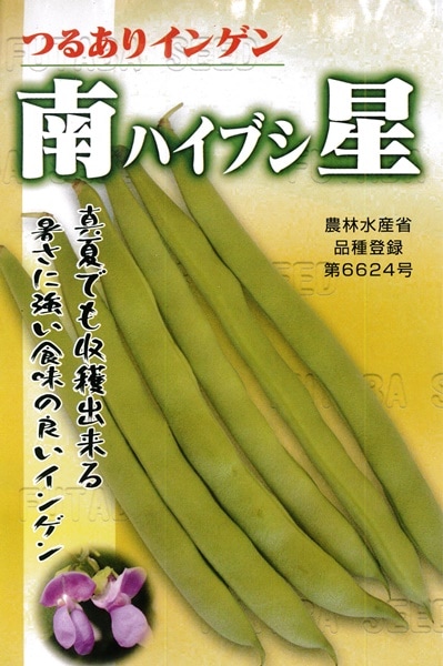 フタバ種苗 南星（ハイブシ）莢インゲン [うちなー交配］【取り寄せ注文】＊種子有効期限2025年12月末