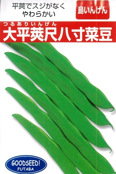 フタバ種苗 インゲン種子 沖縄島インゲン[うちなー交配］【取り寄せ注文】＊種子有効期限2025年12月末