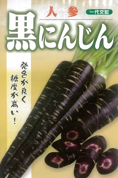 フタバ種苗 ニンジン種子 一代交配 黒にんじん[うちなー交配］【取り寄せ注文】＊種子有効期限2025年12月末