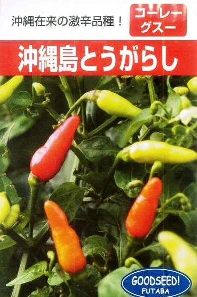 フタバ種苗 トウガラシ種子 沖縄島とうがらし[うちなー交配］【取り寄せ注文】【2026年春種予約商品】