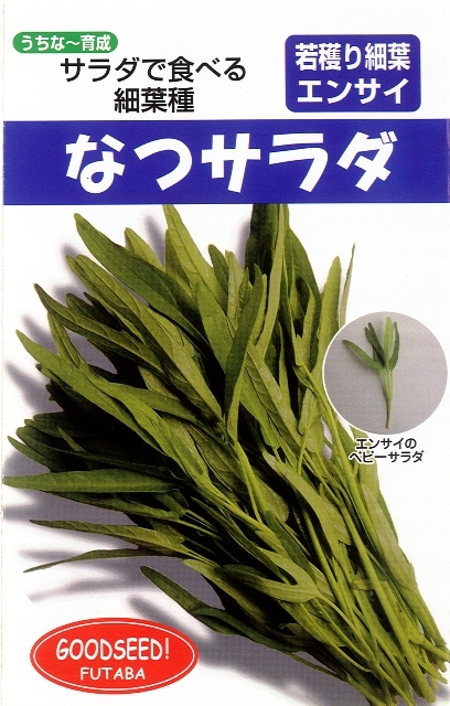 フタバ種苗 若穫りエンサイ種子 なつサラダ[うちなー交配］【取り寄せ注文】【2026年春種予約商品】